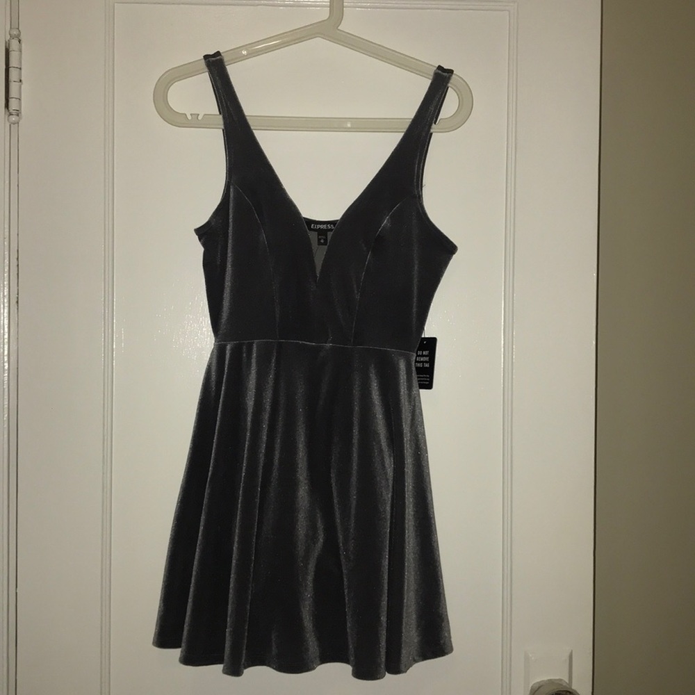 Express Gray Velvet Party Dress
